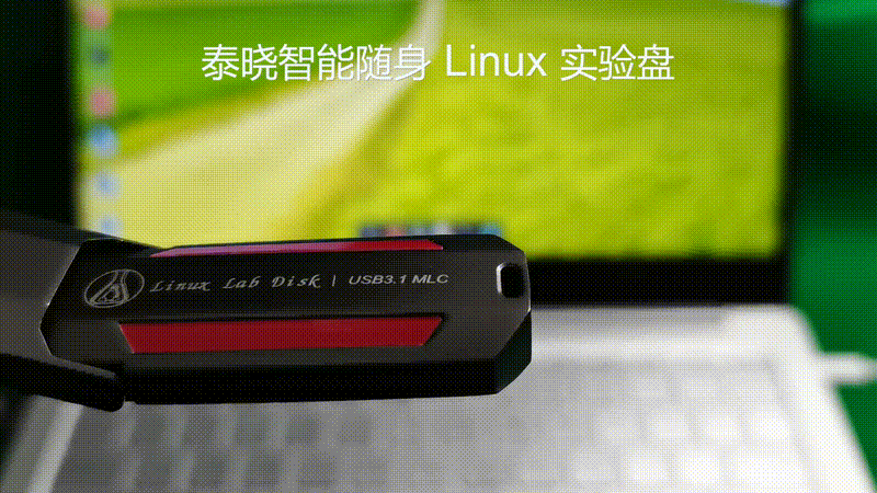 Linux Lab Disk 在 Linux 下即插即跑
